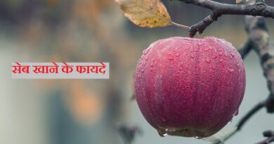 apple khane ke fayde, apple khane ke fayde aur nuksan, apple khane ke fayde in pregnancy, apple khane ke fayde rajiv dixit, apple khane ke fayde khali pet, apple khane ke fayde in urdu, apple khane ke fayde pregnancy mein, apple khane ke fayde bataiye, apple khane ke fayde kya hai, apple khane ke fayde batao, apple khane ke fayde bataen, apple khane ke fayde aur nuksan bataiye, apple khane ke fayde apple khane ke fayde, custard apple khane ke fayde aur nuksan, khali pet apple khane ke fayde aur nuksan, apple anar khane ke fayde, dudh aur apple khane ke fayde, anar aur apple khane ke fayde, apple aur banana khane ke fayde, dahi aur apple khane ke fayde, apple apple khane ke fayde, apple aur doodh sath khane ke fayde, ice apple khane ke fayde aur nuksan, apple khane ke fayde baba ramdev, apple khane ke fayde bacchon ke liye, apple ke bij khane ke fayde, boil apple khane ke fayde, apple banana khane ke fayde, apple ber khane ke fayde, apple ka beej khane ke fayde, baby ko apple khane ke fayde, beer ke sath apple khane ke fayde, bacchon ko apple khane ke fayde, baccho ko apple khane ke fayde, baby ko boil apple khane ke fayde, banana and apple khane ke fayde, basi muh apple khane ke fayde, breakfast me apple khane ke fayde, bhukhe pet apple khane ke fayde, apple khane ke fayde cartoon, custard apple khane ke fayde, cashew apple khane ke fayde, apple ka chilka khane ke fayde, chana aur apple khane ke fayde, apple ke chilke khane ke fayde, pregnancy mein custard apple khane ke fayde, chhote bacchon ko apple khane ke fayde, custard apple khane ke kya fayde hain, custard apple khane ke fayde kya hai, apple ko chilke ke sath khane ke fayde, pcod me apple cider vinegar khane ke fayde, custard apple khane ke kya fayde hote hain, custard apple khane ke kya fayde, daily apple khane ke fayde, dahi apple khane ke fayde, delhi apple khane ke fayde, daily 1 apple khane ke fayde, daily 2 apple khane ke fayde, daily subah apple khane ke fayde, dahi m apple khane ke fayde, daru ke sath apple khane ke fayde, dahi ke sath apple khane ke fayde, daily khali pet apple khane ke fayde, apple khane ke fayde english mein, ek apple khane ke fayde, elephant apple khane ke fayde, daily ek apple khane ke fayde, khali pet ek apple khane ke fayde, roj subah ek apple khane ke fayde, roj ek apple khane ke kya fayde hain, apple khane ke benefits, apple khane se, apple khane ke bad, apple khane ke fayde for skin, apple khane ke fayde face ke liye, apple fruit khane ke fayde, seb khane ke fayde apple khane ke fayde, water apple fruit khane ke fayde, apple fayde, apple khane se fayda, apple apple khane se, green apple khane ke fayde, gas me apple khane ke fayde, pregnancy me green apple khane ke fayde, apple ko garam karke khane ke fayde, apple khane ke kya fayde hain, hara apple khane ke fayde, ubla hua apple khane ke fayde, pregnancy mein apple khane ke kya fayde hain, khali pet apple khane ke kya fayde hain, hamal mein apple khane ke fayde, pregnancy mein apple khane ke kya fayde hote hain, har roj ek apple khane ke fayde, subah khali pet apple khane ke kya fayde hain, subah subah apple khane ke kya fayde hain, apple khane ke fayde in hindi, apple khane ke fayde in marathi, ice apple khane ke fayde, ice apple khane ke kya fayde hain, apple fayde in hindi, can we eat apple empty stomach, apple jam khane ke fayde, java apple khane ke fayde, roj apple khane ke fayde, roj ek apple khane ke fayde, apple khane ke fayde kya hote hain, apple khane ke kya fayde, green apple khane ke kya fayde hain, pregnancy mein apple khane ke fayde kya hai, khali pet apple khane ke fayde, khali pait apple khane ke fayde, kacha apple khane ke fayde, khali pet me apple khane ke fayde, kela aur apple khane ke fayde, kaju apple khane ke fayde, khane ke fayde apple khane ke fayde, apple khane ke fayde liver ke liye, apple khane ke fayde skin ke liye, pregnant ladies ko apple khane ke fayde, apple mein long laga kar khane ke fayde, apple me laung khane ke fayde, apple mein long dal kar khane ke fayde, apple khane ke fayde marathi, morning apple khane ke fayde, apple murabba khane ke fayde, pregnancy mai apple khane ke fayde, apple ka murabba khane ke fayde, nihar muh apple khane ke fayde, night me apple khane ke fayde, dahi me apple khane ke fayde, morning me apple khane ke fayde, morning me khali pet apple khane ke fayde, milk me apple khane ke fayde, morning time apple khane ke fayde, morning m apple khane ke fayde, morning mai khali pet apple khane ke fayde, pregnancy me apple khane ke fayde, apple khane ke fayde nuksan, nahar mein apple khane ke fayde, nahar muh apple khane ke fayde, subha nihar muh apple khane ke fayde, apple ke sath kala namak khane ke fayde, ooty apple khane ke fayde, apple or banana khane ke fayde, apple or anar khane ke fayde, dud or apple khane ke fayde, apple or long khane ke fayde, pan apple khane ke fayde, per day apple khane ke fayde, upashi poti apple khane ke fayde, subah khali pet apple khane ke fayde, pregnancy apple khane ke fayde, pregnancy me subah apple khane ke fayde, pregnancy me daily apple khane ke fayde, red apple khane ke fayde, regular apple khane ke fayde, roj subah apple khane ke fayde, roj 1 apple khane ke fayde, raat me apple khane ke fayde, ramdev baba apple khane ke fayde, rose apple khane ke fayde, apple khane ke fayde subah, apple khane ke fayde short video, apple khane ke fayde shorts, subah apple khane ke fayde, sukha apple khane ke fayde, subah me apple khane ke fayde, apple ki sabji khane ke fayde, subha khali pait apple khane ke fayde, sone se pehle apple khane ke fayde, subah khali pet ek apple khane ke fayde, subha khali pet apple khane ke fayde, apple ubal kar khane ke fayde, apple ko ubal kar khane ke fayde, apple khane ke fayde video, apple vinegar khane ke fayde, apple cider vinegar khane ke fayde, apple main konsa vitamin hota hai, apple mein kaun se vitamin hote hain, white apple khane ke fayde, water apple khane ke fayde, wood apple khane ke fayde, water apple khane ke kya fayde hain, apple ke khane ke fayde, rojana 1 apple khane ke fayde, 1 month apple khane ke fayde, 1 apple roj khane ke fayde, rojana apple khane ke fayde