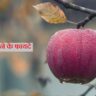 apple khane ke fayde, apple khane ke fayde aur nuksan, apple khane ke fayde in pregnancy, apple khane ke fayde rajiv dixit, apple khane ke fayde khali pet, apple khane ke fayde in urdu, apple khane ke fayde pregnancy mein, apple khane ke fayde bataiye, apple khane ke fayde kya hai, apple khane ke fayde batao, apple khane ke fayde bataen, apple khane ke fayde aur nuksan bataiye, apple khane ke fayde apple khane ke fayde, custard apple khane ke fayde aur nuksan, khali pet apple khane ke fayde aur nuksan, apple anar khane ke fayde, dudh aur apple khane ke fayde, anar aur apple khane ke fayde, apple aur banana khane ke fayde, dahi aur apple khane ke fayde, apple apple khane ke fayde, apple aur doodh sath khane ke fayde, ice apple khane ke fayde aur nuksan, apple khane ke fayde baba ramdev, apple khane ke fayde bacchon ke liye, apple ke bij khane ke fayde, boil apple khane ke fayde, apple banana khane ke fayde, apple ber khane ke fayde, apple ka beej khane ke fayde, baby ko apple khane ke fayde, beer ke sath apple khane ke fayde, bacchon ko apple khane ke fayde, baccho ko apple khane ke fayde, baby ko boil apple khane ke fayde, banana and apple khane ke fayde, basi muh apple khane ke fayde, breakfast me apple khane ke fayde, bhukhe pet apple khane ke fayde, apple khane ke fayde cartoon, custard apple khane ke fayde, cashew apple khane ke fayde, apple ka chilka khane ke fayde, chana aur apple khane ke fayde, apple ke chilke khane ke fayde, pregnancy mein custard apple khane ke fayde, chhote bacchon ko apple khane ke fayde, custard apple khane ke kya fayde hain, custard apple khane ke fayde kya hai, apple ko chilke ke sath khane ke fayde, pcod me apple cider vinegar khane ke fayde, custard apple khane ke kya fayde hote hain, custard apple khane ke kya fayde, daily apple khane ke fayde, dahi apple khane ke fayde, delhi apple khane ke fayde, daily 1 apple khane ke fayde, daily 2 apple khane ke fayde, daily subah apple khane ke fayde, dahi m apple khane ke fayde, daru ke sath apple khane ke fayde, dahi ke sath apple khane ke fayde, daily khali pet apple khane ke fayde, apple khane ke fayde english mein, ek apple khane ke fayde, elephant apple khane ke fayde, daily ek apple khane ke fayde, khali pet ek apple khane ke fayde, roj subah ek apple khane ke fayde, roj ek apple khane ke kya fayde hain, apple khane ke benefits, apple khane se, apple khane ke bad, apple khane ke fayde for skin, apple khane ke fayde face ke liye, apple fruit khane ke fayde, seb khane ke fayde apple khane ke fayde, water apple fruit khane ke fayde, apple fayde, apple khane se fayda, apple apple khane se, green apple khane ke fayde, gas me apple khane ke fayde, pregnancy me green apple khane ke fayde, apple ko garam karke khane ke fayde, apple khane ke kya fayde hain, hara apple khane ke fayde, ubla hua apple khane ke fayde, pregnancy mein apple khane ke kya fayde hain, khali pet apple khane ke kya fayde hain, hamal mein apple khane ke fayde, pregnancy mein apple khane ke kya fayde hote hain, har roj ek apple khane ke fayde, subah khali pet apple khane ke kya fayde hain, subah subah apple khane ke kya fayde hain, apple khane ke fayde in hindi, apple khane ke fayde in marathi, ice apple khane ke fayde, ice apple khane ke kya fayde hain, apple fayde in hindi, can we eat apple empty stomach, apple jam khane ke fayde, java apple khane ke fayde, roj apple khane ke fayde, roj ek apple khane ke fayde, apple khane ke fayde kya hote hain, apple khane ke kya fayde, green apple khane ke kya fayde hain, pregnancy mein apple khane ke fayde kya hai, khali pet apple khane ke fayde, khali pait apple khane ke fayde, kacha apple khane ke fayde, khali pet me apple khane ke fayde, kela aur apple khane ke fayde, kaju apple khane ke fayde, khane ke fayde apple khane ke fayde, apple khane ke fayde liver ke liye, apple khane ke fayde skin ke liye, pregnant ladies ko apple khane ke fayde, apple mein long laga kar khane ke fayde, apple me laung khane ke fayde, apple mein long dal kar khane ke fayde, apple khane ke fayde marathi, morning apple khane ke fayde, apple murabba khane ke fayde, pregnancy mai apple khane ke fayde, apple ka murabba khane ke fayde, nihar muh apple khane ke fayde, night me apple khane ke fayde, dahi me apple khane ke fayde, morning me apple khane ke fayde, morning me khali pet apple khane ke fayde, milk me apple khane ke fayde, morning time apple khane ke fayde, morning m apple khane ke fayde, morning mai khali pet apple khane ke fayde, pregnancy me apple khane ke fayde, apple khane ke fayde nuksan, nahar mein apple khane ke fayde, nahar muh apple khane ke fayde, subha nihar muh apple khane ke fayde, apple ke sath kala namak khane ke fayde, ooty apple khane ke fayde, apple or banana khane ke fayde, apple or anar khane ke fayde, dud or apple khane ke fayde, apple or long khane ke fayde, pan apple khane ke fayde, per day apple khane ke fayde, upashi poti apple khane ke fayde, subah khali pet apple khane ke fayde, pregnancy apple khane ke fayde, pregnancy me subah apple khane ke fayde, pregnancy me daily apple khane ke fayde, red apple khane ke fayde, regular apple khane ke fayde, roj subah apple khane ke fayde, roj 1 apple khane ke fayde, raat me apple khane ke fayde, ramdev baba apple khane ke fayde, rose apple khane ke fayde, apple khane ke fayde subah, apple khane ke fayde short video, apple khane ke fayde shorts, subah apple khane ke fayde, sukha apple khane ke fayde, subah me apple khane ke fayde, apple ki sabji khane ke fayde, subha khali pait apple khane ke fayde, sone se pehle apple khane ke fayde, subah khali pet ek apple khane ke fayde, subha khali pet apple khane ke fayde, apple ubal kar khane ke fayde, apple ko ubal kar khane ke fayde, apple khane ke fayde video, apple vinegar khane ke fayde, apple cider vinegar khane ke fayde, apple main konsa vitamin hota hai, apple mein kaun se vitamin hote hain, white apple khane ke fayde, water apple khane ke fayde, wood apple khane ke fayde, water apple khane ke kya fayde hain, apple ke khane ke fayde, rojana 1 apple khane ke fayde, 1 month apple khane ke fayde, 1 apple roj khane ke fayde, rojana apple khane ke fayde