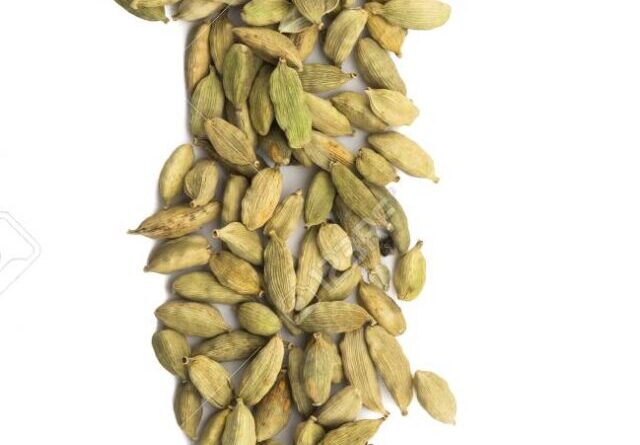 Cardamom in Vertical Row on Isolated White