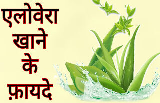 एलोवेरा के चमत्कारी गुण और इससे मिलने वाले फायदे। Benefits of Aloe Vera