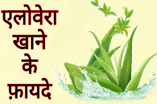 एलोवेरा के चमत्कारी गुण और इससे मिलने वाले फायदे। Benefits of Aloe Vera