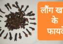 LAUNG KHANE KE FAYDE AUR NUKSHAN
