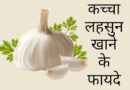 सुबह खाली पेट कच्चा लहसुन खाने के फायदे और नुकसान / Raw Garlic Benefits in Hindi. Leshun khane ke fayde