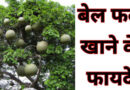 khane ke fayde