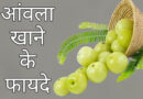 आंवला खाने के फायदे