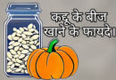 कद्दू के बीज खाने के फायदे Pumpkin seeds benefits.