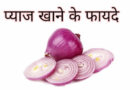 प्याज खाने के फायदे onion eating benefits
