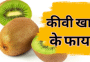 Kivi khane ke faye