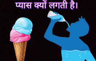 Ice cream खाने के बाद प्यास क्यों लगती है, Why do you feel thirsty after eating ice cream, आइसक्रीम खाने के बाद प्यास क्यों लगती है, ice cream facts