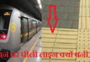 मैट्रो स्टेशन पर पीली लाइन क्यों बनी होती है? Latest facts in hindi about metro station