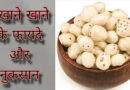 मखाने खाने के फायदे और नुकसान Makhana khane ke fayde