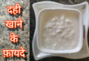 रोजाना दही खाने के फायदे, Dahi Khane ke Fayde dahi khane ke fayde, dahi khane ke fayde aur nuksan, dahi khane ke fayde subah khali pet, dahi khane ke fayde kya hai, dahi khane ke fayde bataen, dahi khane ke fayde bataiye, dahi khane ke fayde batao, dahi khane ke fayde nuksan, dahi khane ke fayde pregnancy mein, dahi khane ke fayde v nuksan, dahi khane ke fayde dahi khane ke fayde, dahi khane ke fayde aur nuksan bataen, dahi khane ke fayde avn nuksan, dahi khane ke fayde aur nuksan bataiye, dahi khane ke fayde aur kis time khana chahie, dahi khane ke fayde aur kab khana chahie, dahi khane ke fayde aur nuksan kya hai, dahi khane ke fayde aur tote, dahi khane ke fayde aur nuksan batao, dahi khane ke fayde astrology, aalu or dahi khane ke fayde, anar or dahi khane ke fayde, alsi dahi khane ke fayde, amul dahi khane ke fayde, anda aur dahi khane ke fayde, aam aur dahi khane ke fayde, anar aur dahi khane ke fayde, anda dahi khane ke fayde, amla aur dahi khane ke fayde, ande ke sath dahi khane ke fayde, dahi khane ke fayde baba ramdev, dahi khane ke fayde by rajiv dixit, dahi khane ke fayde bodybuilding, dahi khane ke fayde bacchon ke liye, dahi khane ke fayde bata de, dahi khane ke fayde bata do, subah dahi khane ke fayde bataen, bacho ko dahi khane ke fayde, banana aur dahi khane ke fayde, baby ko dahi khane ke fayde, bache ko dahi khane ke fayde, bhuna chana aur dahi khane ke fayde, basi roti aur dahi khane ke fayde, bihar mein dahi khane ke fayde, beetroot aur dahi khane ke fayde, bacchon ko dahi khane ke fayde, breakfast me dahi khane ke fayde, dahi khane ke fayde kab khana chahiye, dahi chawal khane ke fayde, dahi chuna khane ke fayde, dahi chura khane ke fayde, dahi chini khane ke fayde, chukandar dahi khane ke fayde, dahi chawal khane ke fayde aur nuksan, dahi chana khane ke fayde, dahi chapati khane ke fayde, dahi chane khane ke fayde, chuna dahi khane ke fayde, chura dahi khane ke fayde, chawal dahi khane ke fayde, chia seed aur dahi khane ke fayde, chawal ke sath dahi khane ke fayde, chane or dahi khane ke fayde, chuna ani dahi khane ke fayde, crow ko dahi khane ke fayde, chilka or dahi khane ke fayde, dahi khane ke fayde dikhaiye, dahi khane ke fayde doctor ibrahim, dahi khane ke fayde dikhayen, dahi khane ke fayde doctor, dahi khane ke fayde dr ibrahim, dahi khane ke fayde rajiv dikshit, daily dahi khane ke fayde, dopahar mein dahi khane ke fayde, daily dahi khane ke fayde aur nuksan, dopahar me dahi khane ke fayde, dudh dahi khane ke fayde, daliya or dahi khane ke fayde, desi dahi khane ke fayde, dog ko dahi khane ke fayde, din me dahi khane ke fayde, dast me dahi khane ke fayde, egg or dahi khane ke fayde, empty stomach dahi khane ke fayde, dahi aur elaichi khane ke fayde, ek katori dahi khane ke fayde, dahi aur egg khane ke fayde, roj ek katori dahi khane ke fayde, dahi kela ek sath khane ke fayde, dahi aur kela ek sath khane ke fayde, dahi aur anar ek sath khane ke fayde, dahi aur gud ek sath khane ke fayde, dahi or kela ek sath khane ke fayde, dahi aur khajoor ek sath khane ke fayde, dahi khane ke fayde for skin, dahi khane ke fayde face ke liye, dahi khane ke fayde for hair, dahi me fruit khane ke fayde, fitkari aur dahi khane ke fayde, dahi me dry fruit khane ke fayde, dahi mein fitkari milakar khane ke fayde, fermented dahi chawal khane ke fayde, dahi ke sath dry fruit khane ke fayde, dahi khane ke fayde gym, dahi khane ke fayde garmi mein, dahi khane ke fayde garmiyon mein, dahi khane ke fayde weight gain, dahi gud khane ke fayde, good dahi khane ke fayde, dahi gud khane ke fayde aur nuksan, garmi me dahi khane ke fayde, dahi chura gud khane ke fayde, gay ka dahi khane ke fayde, gud aur dahi khane ke fayde, garmi mein dahi khane ke fayde, gond katira or dahi khane ke fayde, garmiyon mein dahi khane ke fayde, gym jane se pehle dahi khane ke fayde, gud ke sath dahi khane ke fayde, gond katira aur dahi khane ke fayde, gym ke baad dahi khane ke fayde, dahi khane ke kya fayde hain, dahi khane ke kya fayde hote hain, dahi khane ke kitne fayde hote hain, dahi khane ke kya fayde hain aur kya nuksan, dahi khane ke kya fayde hain kya nuksan, curd khane ke fayde in hindi, dahi khane ke kaun se fayde hain, dahi khane ke fayde aur nuksan hath, dahi khane ke kya kya fayde ho sakte hain, honey aur dahi khane ke fayde, har roj dahi khane ke fayde, hamal ke dauran dahi khane ke fayde, haldi aur dahi khane ke fayde, khali pet dahi khane ke kya fayde hain, pregnancy mein dahi khane ke kya fayde hain, subah dahi khane ke kya fayde hain, dahi aur kela khane ke kya fayde hain, dahi khane ke fayde in pregnancy, dahi khane ke fayde in marathi, dahi khane ke fayde in urdu, dahi isabgol khane ke fayde, dahi mein isabgol khane ke fayde, ibs me dahi khane ke fayde, dahi mein isabgol mila kar khane ke fayde, isabgol aur dahi khane ke fayde, isabgol ke sath dahi khane ke fayde, isabgol ki bhusi aur dahi khane ke fayde, isabgol ko dahi mein mila kar khane ke fayde, dahi jalebi khane ke fayde, dahi jeera khane ke fayde, jada dahi khane ke fayde, jada dahi khane ke fayde aur nuksan, dahi se jalebi khane ke fayde, dahi me jamun khane ke fayde, dahi aur jamun khane ke fayde, dahi mein jeera dal kar khane ke fayde, dahi me bhuna jeera khane ke fayde, dahi jalebi khane ke kya fayde hain, jalebi dahi khane ke fayde, jeera aur dahi khane ke fayde, dahi me jeera mila kar khane ke fayde, dahi me jeera khane ke fayde, dahi mein zeera dal kar khane ke fayde, dahi ke sath jeera khane ke fayde, dahi khane ke fayde kya hote hain, dahi khane ke fayde khali pet, dahi khane ke fayde kya, dahi khane ke fayde kab khana chahie, dahi khane ke kya fayde aur kya nuksan hai, dahi khane ke kya fayde aur kya nuksan, khali pet dahi khane ke fayde, kela or dahi khane ke fayde, khali pait dahi khane ke fayde, khatta dahi khane ke fayde, khane ke sath dahi khane ke fayde, kheera or dahi khane ke fayde, khali pet dahi khane ke fayde aur nuksan, khajoor aur dahi khane ke fayde, khatti dahi khane ke fayde, khajur or dahi khane ke fayde, dahi khane ke fayde weight loss, dahi khane ke fayde skin ke liye, dahi khane ke fayde pet ke liye, dahi lassi khane ke fayde, dahi khane se liver ke fayde, dahi aur lahsun khane ke fayde, lunch me dahi khane ke fayde, lunch mein dahi khane ke fayde, loose motion mein dahi khane ke fayde, dahi ki lassi khane ke fayde, dahi khane ke fayde marathi, dahi khane ke fayde man, dahi khane ke fayde sugar mein, meetha dahi khane ke fayde, mitha dahi khane ke fayde, morning dahi khane ke fayde, dahi mishri khane ke fayde, morning me dahi khane ke fayde, morning me khali pet dahi khane ke fayde, moringa powder or dahi khane ke fayde, moringa aur dahi khane ke fayde, morning m dahi khane ke fayde, misti dahi khane ke fayde, mitti ke bartan me dahi khane ke fayde, malai wala dahi khane ke fayde, dahi chawal khane ke fayde nuksan, dahi kela khane ke fayde nuksan, nihar muh dahi khane ke fayde, nashte mein dahi khane ke fayde, naste me dahi khane ke fayde, nahar mein dahi khane ke fayde, night me dahi khane ke fayde, nihar pet dahi khane ke fayde, nariyal ka dahi khane ke fayde, nahar muh dahi khane ke fayde, nariyal dahi khane ke fayde, nariyal ki dahi khane ke fayde, dahi khane ke fayde or nuksan, dahi khane ke fayde odia, dahi or kela khane ke fayde, dahi or chuna khane ke fayde, dahi or gud khane ke fayde, dahi or chawal khane ke fayde, dahi or anda khane ke fayde, dahi or banana khane ke fayde, dahi or kela sath khane ke fayde, gud or dahi khane ke fayde, chawal or dahi khane ke fayde, chuna or dahi khane ke fayde, dahi khane ke fayde pregnancy, dahi poha khane ke fayde, dahi paratha khane ke fayde, dahi pyaj khane ke fayde, pratidin dahi khane ke fayde, dahi peda khane ke fayde, pregnancy me dahi khane ke fayde, papita or dahi khane ke fayde, piles mai dahi khane ke fayde, pregnancy me subah dahi khane ke fayde, pet kharab hone par dahi khane ke fayde, poha aur dahi khane ke fayde, pregnancy mein dahi khane ke fayde aur nuksan, period me dahi khane ke fayde, pregnancy mein khali pet dahi khane ke fayde, pregnancy madhe dahi khane ke fayde, dahi khane ke benefits, dahi khane fayde, curd khane ke fayde, dahi khane se kya benefit hai, dahi khane ke fayde ramdev baba, dahi khane ke fayde raat ko, dahi khane ke fayde rajiv dixit, dahi khane ke fayde roj, dahi khane ke fayde rojana, dahi kela khane ke fayde rajiv dixit, dahi roti khane ke fayde, roz dahi khane ke fayde, dahi rice khane ke fayde, roj dahi khane ke fayde, raat ko dahi khane ke fayde, rojana dahi khane ke fayde, raat mein dahi khane ke fayde, raat mai dahi khane ke fayde, raat me dahi khane ke fayde, roj dahi khane ke fayde aur nuksan, roti dahi khane ke fayde, ratri dahi khane ke fayde, dahi khane ke fayde subah, dahi khane ke fayde sanyasi ayurveda, dahi khane ke fayde short video, dahi khane ke fayde sanga, dahi kela khane ke fayde sanyasi ayurveda, dahi aur kela khane ke fayde sanyasi ayurveda, subah khali pet dahi khane ke fayde, subah dahi khane ke fayde, subha khali pait dahi khane ke fayde, subah me dahi khane ke fayde, soyabean or dahi khane ke fayde, subah ko dahi khane ke fayde, sehri mein dahi khane ke fayde, sham ko dahi khane ke fayde, subah ke time dahi khane ke fayde, subah nashte mein dahi khane ke fayde, dahi khane ke fayde tote, tok dahi khane ke fayde, tak dahi khane ke fayde, taja dahi khane ke fayde, morning time dahi khane ke fayde, dahi or tarbuj khane ke fayde, dahi mein sarson ka tel mila kar khane ke fayde, upashi poti dahi khane ke fayde, subah uthkar dahi khane ke fayde, ulcer me dahi khane ke fayde, uble aalu or dahi khane ke fayde, dahi aur uble aalu khane ke fayde, ubla hua aalu or dahi khane ke fayde, uble hue aalu aur dahi khane ke fayde, subah uthkar dahi khane ke kya fayde hain, dahi khane ke fayde video, khali pet dahi khane ke fayde v nuksan, dahi vada khane ke fayde aur nuksan, dahi vada khane ke fayde, dahi vich kela khane ke fayde, dahi khane ke labh, dahi khane se labh, dahi khanu ko faida, subah ke waqt dahi khane ke fayde, workeout ke bad dahi khane ke fayde, dahi khavana fayda, dahi khane ke fayde ya nuksan, khali pet dahi khane ke fayde ya nuksan, raat mein dahi khane ke fayde ya nuksan, sehri mein dahi khane ke fayde ya nuksan, raat ko dahi khane ke fayde hai ya nuksan, dahi khane ke fawaid, dahi khany ky faidy, dahi khany ka faida, zeera aur dahi khane ke fayde, yogurt khane ke fayde, dahi khanay kay faiday, dahi khane ke 10 fayde, dahi khane ke fayde 200, dahi khane se allergy, card khane ke fayde, subah khali pet dahi ke fayde