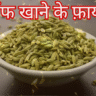सौंफ, Soanf सौंफ खाने के फायदे, खाना खाने केे बाद सौंफ खाने के फायदे, Soanf Benefits, Benefits of eating fennel after a meal, सौंफ के फायदे और नुकसान
