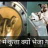अंतरिक्ष में कुत्ता क्यों भेजा गया था, लाइका Facts, laika dog facts, Laika, facts about laika, लाइका कुत्ता, लाइका, लाइका अंतरिक्ष