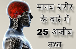 मानव शरीर के बारे में 25 अजीब तथ्य, Interesting facts about human body. human body facts, facts about human body, human body facts in Hindi, #facts