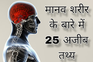 मानव शरीर के बारे में 25 अजीब तथ्य, Interesting facts about human body. human body facts, facts about human body, human body facts in Hindi, #facts