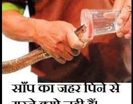 साँप का जहर पीने से आदमी क्यों नही मरता है / What would happen if someone drank snake venom