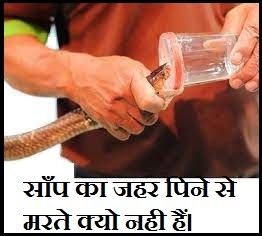 साँप का जहर पीने से आदमी क्यों नही मरता है / What would happen if someone drank snake venom