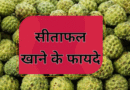 सीताफल खाने के फायदे, नुकसान और सही समय सीताफल खाने के फायदे, नुकसान और सही समय, Sitafal khane ke fayde, Benefits of eating sitafal, sitafal benefits, benefits of sitafal, health, Sharifa