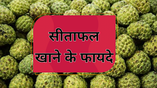सीताफल खाने के फायदे, नुकसान और सही समय, Sitafal khane ke fayde, Benefits of eating sitafal, sitafal benefits, benefits of sitafal, health, Sharifa