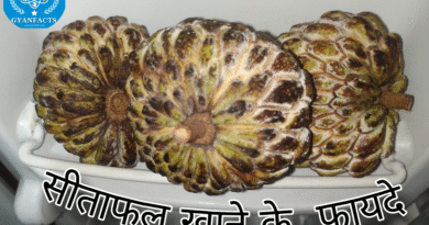 सीताफल (शरीफा) खाने के फायदे