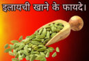 इलायची, इलायची खाने के फायदे, इलायची खाने के फायदे और नुकसान, रात को इलायची और गर्म पानी पीने के फायदे, benefits of eating cardamom, cardamom benefits