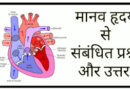 मानव हृदय से संबंधित प्रश्न / Human heart related question // General Science Heart important questions