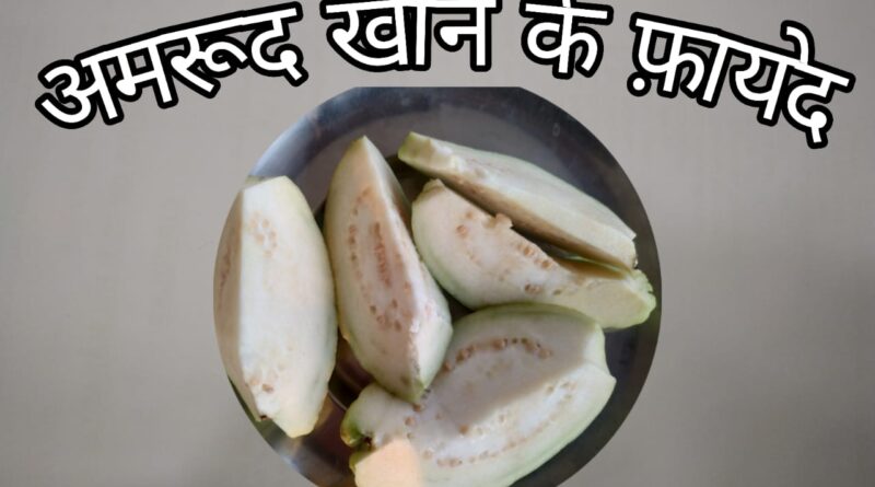 amrood khane ke fayde, amrood khane ke fayde in pregnancy, pregnancy me amrood khane ke fayde, khali pet amrood khane ke fayde, pregnancy mein amrood khane ke fayde, bhuna amrood khane ke fayde, kacha amrood khane ke fayde, raat ko amrood khane ke fayde, baccho ko amrood khane ke fayde, amrood ke patte khane ke fayde, amrud khane ke fayde aur nuksan, amrud khane ke fayde aur nuksan bataiye, amrud khane ke fayde aur nuksan bataen, amrud khane ke fayde avn nuksan, amrud khane ke kya fayde aur kya nuksan hai, kacche amrud khane ke fayde aur nuksan, jyada amrud khane ke fayde aur nuksan, amrud ke patte khane ke fayde aur nuksan, khali pet amrud khane ke fayde aur nuksan, pregnancy mein amrud khane ke fayde aur nuksan, amrud khane ke fayde bataiye, amrud khane ke fayde by rajiv dixit, amrud ke patte khane ke fayde bataiye, amrud ke patte khane ke fayde bataen, amrud ke patte khane ke fayde batao, amrud bhunkar khane ke fayde, bhuna amrud khane ke fayde, amrood ko bhoon kar khane ke fayde, amrood ke beej khane ke fayde, benefits of amrood, amrud khane ke gun, amrood khany k faidy, guava khane ke fayde, amrud khane ke fayde aur kab khana chahie, amrud khane ke fayde, amrud khane se fayda, amrud khane ke fayde rajiv dixit, daily amrud khane ke fayde, khali pet amrud khane ke fayde, amrud fal khane ke fayde, gulabi amrud khane ke fayde, amrood benefits, amrood ki taseer, guava khali pet khane ke fayde, guava ke fayde, amrud khane ke fayde hain, amrud khane ke kya fayde hain, amrud khane ke kya fayde hain aur kya nuksan hai, amrud khane ke fayde in hindi, guava khane ke fayde in hindi, amrud khane ke kya kya fayde ho sakte hain, lal amrud khane ke kya fayde hain, kacha amrud khane ke kya fayde hain, roj amrud khane ke kya fayde hain, guava khane ke fayde in pregnancy, jyada amrud khane ke fayde, amrood ko jala kar khane ke fayde, jamfal khane ke fayde, jam khane ke fayde, amrud khane ke fayde kya hai, amrud khane ke fayde khali pet, amrud khane ke kitne fayde, amrud ke patte khane ke fayde kya hai, pregnancy mein amrud khane ke kya fayde hain, khali pet amrood ke patte khane ke fayde, lal amrud khane ke fayde, amrud khane ke fayde pregnancy mein, amrud khane ke fayde nuksan, amrud ke patte khane ke fayde nuksan, khali pet amrud khane ke fayde nuksan, pregnancy mein amrud khane ke fayde nuksan, amrud khane ke kya fayde kya nuksan, amrud khane ke fayde or nuksan, amrud khane ke nuksan, amrud khane ke fayde pregnancy, amrud khane ke panch fayde, amrud ke patte khane ke fayde, amrud patti khane ke fayde, paka amrud khane ke fayde, pregnancy amrood khane ke fayde, roj amrud khane ke fayde, rojana amrud khane ke fayde, rasayan amrud khane ke fayde, benefits of amrood leaves in hindi, amrud khane ke fayde short video, amrud khane ke fayde subah subah, amrud khane ke fayde shorts, amrud khane ke kaun kaun se fayde hain, amrud ke fayde khane se, amrud seb khane ke fayde, sugar mein amrud khane se kya hota hai, amrud khane ke fayde v nuksan, amrud khane ke fayde video, khali pet amrud khane ke fayde v nuksan, amrud khane ke fayde ya nuksan, pregnancy mein amrud khane ke fayde ya nuksan