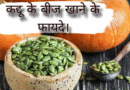 pumpkin seeds khane ke fayde, pumpkin seeds khane ke fayde aur nuksan, pumpkin seeds khane ke fayde in hindi, pumpkin seeds khane ke fayde kya hai, pumpkin seeds khane ke fayde bataen, pumpkin seeds khane ke fayde bataiye, pumpkin seeds khane ke fayde nuksan, pumpkin seeds khane ke fayde aur kaise khayen, sunflower seeds or pumpkin seeds khane ke fayde, daily pumpkin seeds khane ke fayde, roasted pumpkin seeds khane ke fayde, pumpkin seed khane ke fayde aur tarika, pumpkin seed khane ke fayde aur kaise khaye, pumpkin seeds and sunflower seeds khane ke fayde, pumpkin seed ke benefits, pumpkin seed benefits hindi, pumpkin seed benefits in urdu, pumpkin seed kaise khayen, sunflower seeds aur pumpkin seeds khane ke fayde, what is pumpkin seed good for, how to consume pumpkin seeds daily, pumpkin seeds bhigo kar khane ke fayde, bheege hue pumpkin seeds khane ke fayde, pumpkin seeds pani me bhigo kar khane ke fayde, benefits of pumpkin seeds hindi, benefits of pumpkin seeds in urdu, benefits of having pumpkin seeds, chia flax sunflower pumpkin seeds khane ke fayde, pumpkin seeds good for, pumpkin seeds eating benefits, pumpkin seed ke fayde, pumpkin seeds benefits urdu, how to eat pumpkin seeds daily, pumpkin seeds benefits skin, pumpkin seeds khane ke kya fayde hain, pumpkin seeds khane ke kya fayde hote hain, health benefits of pumpkin seed, is pumpkin seed good for you, is pumpkin seeds good for health, pumpkin seeds jada khane ke fayde, pumpkin seeds daily dosage, pumpkin seeds good for you, pumpkin seed khane ke fayde aur kaise khayen, pumpkin seeds ke khane ke fayde, pumpkin seeds khali pet khane ke fayde, pregnancy mein pumpkin seeds khane ke fayde, pumpkin seed khane ke fayde, pumpkin seeds kaise khaye, pumpkin seeds or sunflower seed khane ke fayde, pumpkin seeds kb khaye, pumpkin beej ke fayde, pumpkin pumpkin seed khane ke fayde, pumpkin seeds skin benefits, pumpkin seed health benefits, pumpkin seeds powder benefits, are pumpkin seeds good for you, are pumpkin seeds healthy, are pumpkin seeds bad for you, pumpkin seeds sunflower seeds khane ke fayde, pumpkin seeds sunflower seed khane ke fayde, how can you eat pumpkin seeds, pumpkin seeds for health, benefits of eating pumpkin seeds everyday, benefits of eating pumpkin seeds daily, what is pumpkin seeds in urdu, how to use pumpkin seeds in food, pumpkin seed how to use, zinc in pumpkin seeds, how much quantity of pumpkin seeds to eat daily, benefits of pumpkin seeds and sunflower seeds, green pumpkin seeds benefits, pumpkin seeds good for heart