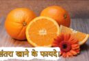 santra khane ke fayde, santra khane ke fayde pregnancy mein, santra khane ke fayde aur nuksan, santra khane ke fayde bataiye, santra khane ke fayde kya hai, santra khane ke fayde batao, santra khane ke fayde bataen, santra khane ke fayde for skin, santra khane ke fayde marathi, santra khane ke fayde face ke liye, santra khane ke fayde v nuksan, pregnancy mein santra khane ke fayde aur nuksan, angur aur santra khane ke fayde, santra khane ke labh, orange khane ke benefits, santra khane fayda, santra khane ka time, bada santra khane ke fayde, bache ko santra khane ke fayde, pregnancy me orange khane ke fayde, daily orange khane ke fayde, santre ke chilke khane ke fayde, roj santra khane ke fayde, orange khane ke fayde, daily santra khane ke fayde, daily ek santra khane ke fayde, daily orange khane se kya hota hai, ek santra khane ke fayde, roj ek santra khane ke fayde, santra khana, roj ek santra khane se kya hota hai, santra goli khane ke fayde, garmiyon mein santra khane ke fayde, khali pet orange khane ke fayde, santra khane ke kya fayde hain, pregnancy mein santra khane ke kya fayde hain, pregnancy mein santra khane ke kya fayde hote hain, pregnancy mein santra khane ke kya fayde, kacha santra khane ke fayde, khatta santra khane ke fayde, khali pet santra khane ke fayde, santra khane ke kya fayde, santra mosambi khane ke fayde, pregnancy me santra khane ke fayde, pregnancy madhe santra khane ke fayde, santra khane ke fayde nuksan, orange santra khane ke fayde, pregnancy santra khane ke fayde, subah khali pet santra khane ke fayde, roj orange khane ke fayde, subah santra khane ke fayde, subah subah santra khane ke fayde, orange khane ke fayde in pregnancy, bada wala santra khane ke fayde, santra fruit ke fayde, kya khansi mein santra kha sakte hain, orange khane se skin ke fayde
