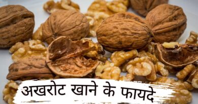akhrot khane ke fayde, akhrot khane ke fayde aur tarika, akhrot khane ke fayde or nuksan, akhrot khane ke fayde for men, akhrot khane ke fayde urdu, akhrot khane ke fayde pregnancy mein, akhrot khane ke fayde bataiye, akhrot khane ke fayde bataen, akhrot khane ke fayde kya hai, akhrot khane ke fayde batao, akhrot khane ke fayde in pregnancy, akhrot khane ke fayde aur nuksan, akhrot khane ke fayde akhrot, akhrot khane ke fayde aur kaise khayen, akhrot khane ke fayde aur kaise khana chahie, akhrot khane ke fayde avn nuksan, akhrot khane ke fayde aur kaise khaye, akhrot khane ke fayde aur kaise khaya jata hai, akhrot khane ke fayde aur kab khana chahie, akhrot khane ke fayde aur time, anjeer aur akhrot khane ke fayde, anjeer akhrot khane ke fayde, anjeer badam akhrot khane ke fayde, akhrot akhrot khane ke fayde, ajwain aur akhrot khane ke fayde, badam akhrot kismis anjeer khane ke fayde, badam aur akhrot bhigo kar khane ke fayde, anjeer akhrot khajur khane ke fayde, akhrot khane ke fayde bengali, akhrot khane ke fayde bacho ke liye, akhrot khane ke fayde baba ramdev, akhrot khane ke fayde bacchon ke liye, akhrot khane ke fayde bangla, akhrot khane ke fayde by rajiv dixit, akhrot khane ke fayde balo ke liye, bheege hue akhrot khane ke fayde, badam or akhrot khane ke fayde, bhiga hua akhrot khane ke fayde, badam anjeer akhrot khane ke fayde, bacho ko akhrot khane ke fayde, baby ko akhrot khane ke fayde, badam kaju akhrot khane ke fayde, bhige hue akhrot khane ke fayde, badam pista akhrot khane ke fayde, bhigi akhrot khane ke fayde, akhrot khane ke fayde kab khana chahie, chana badam akhrot khane ke fayde, akhrot or chana khane ke fayde, chote bacho ko akhrot khane ke fayde, akhrot khane ke benefit, akhrot khane fayde, akhrot khany k faidy, akhrot fayde, akhrot khane ke fayde aur kis time khana chahie, cholesterol me akhrot ke fayde, benefits of akhrot in hindi, akhrot khane ke fayde dimag ke liye, akhrot khane ke fayde dr ibrahim, akhrot khane ke fayde dudh ke sath, akhrot khane ke fayde dr sharafat ali, akhrot khane ke fayde rajiv dixit, daily akhrot khane ke fayde, dj akhrot khane ke fayde, dudh me akhrot khane ke fayde, akhrot dry fruit khane ke fayde, dudh aur akhrot khane ke fayde, dry fruit akhrot khane ke fayde, dudh akhrot khane ke fayde, dudh ke sath akhrot khane ke fayde, delivery ke baad akhrot khane ke fayde, roj ek akhrot khane ke fayde, akhrot aur badam ek sath khane ke fayde, kaju badam akhrot ek sath khane ke fayde, khajoor aur akhrot ek sath khane ke fayde, akhrot khane ke labh, akhrot khane se fayda, badam aur akhrot ek sath khane ke fayde, akhrot khane ke fayde for baby, akhrot khane ke fayde for women, akhrot khane ke fayde for skin, akhrot khane ke fayde for brain, akhrot khane ke fayde for hair, akhrot khane ke fayde face ke liye, akhrot khane ke fayde for pregnancy, akhrot khane ke fayde fit tuber, fatty liver me akhrot khane ke fayde, akhrot khane ke fayde akhrot khane ke fayde, akhrot khane ke fayde gym, akhrot khane ke fayde gujarati, akhrot khane ke fayde weight gain, akhrot giri khane ke fayde, akhrot giri khane ke fayde aur nuksan, akhrot ki giri khane ke fayde, akhrot gala kar khane ke fayde, akhrot khane se ghutno ke fayde, akhrot aur gud khane ke fayde, garmi mein akhrot khane ke fayde, garmiyon mein akhrot khane ke fayde, garbhavastha mein akhrot khane ke fayde, garbhvati mahila ko akhrot khane ke fayde, akhrot ki giri khane ke kya fayde hain, akhrot khane ke fayde hair ke liye, akhrot khane ke fayde hain, akhrot khane ke kya fayde hain, akhrot khane ke kya fayde hain batao, akhrot badam khane ke kya fayde hain, akhrot khane ke kaun kaun se fayde hain, akhrot bhigo kar khane ke kya fayde hain, pregnancy mein akhrot khane ke kya fayde hain, high bp me akhrot khane ke fayde, akhrot ko bhigo kar khane ke fayde in hindi, bheege hue akhrot khane ke kya fayde hain, akhrot aur badam khane ke kya fayde hain, akhrot ka halwa khane ke fayde, khali pet akhrot khane ke kya fayde hain, akhrot khane ke fayde in bengali, akhrot khane ke fayde in urdu, akhrot khane ke fayde in marathi, akhrot khane ke fayde in kannada, akhrot health benefits, bheege akhrot khane ke fayde, akhrot khane ke fayde kya hote hain, akhrot khane ke fayde kaise khaye, akhrot khane ke fayde kay, akhrot khane ke fayde kaise khayen, akhrot khane ke fayde khali pet, akhrot khane ke fayde kya hota hai, akhrot khane ke fayde kya hai batao, akhrot khane ke kya fayde kya nuksan, khali pet akhrot khane ke fayde, kaju badam akhrot khane ke fayde, kaju pista badam akhrot khane ke fayde, kaju kishmish badam akhrot khane ke fayde, kaju aur akhrot khane ke fayde, khajur aur akhrot khane ke fayde, kacha akhrot khane ke fayde, kishmish aur akhrot khane ke fayde, kishmish akhrot khane ke fayde, kishmish badam akhrot khane ke fayde, akhrot khane ke fayde skin ke liye, lahan mulana akhrot khane ke fayde, akhrot khane ke fayde marathi, akhrot khane ke fayde mardana kamzori, akhrot khane ke fayde mufti tariq masood, makhana akhrot khane ke fayde, akhrot munakka khane ke fayde, akhrot mila kar khane ke fayde, pregnancy mai akhrot khane ke fayde, pregnancy madhe akhrot khane ke fayde, milk me akhrot khane ke fayde, morning me akhrot khane ke fayde, milk ke sath akhrot khane ke fayde, makhana aur akhrot khane ke fayde, pregnancy me akhrot khane ke fayde, sugar me akhrot khane ke fayde, akhrot khane ke fayde nuksan, pregnancy me akhrot khane ke fayde aur nuksan, nihar muh akhrot khane ke fayde, akhrot khane ke fayde odia, akhrot khane ke fayde or kaise khaye, anjeer or akhrot khane ke fayde, akhrot or kismis khane ke fayde, akhrot or khajur khane ke fayde, akhrot or makhana khane ke fayde, dudh or akhrot khane ke fayde, kaju or akhrot khane ke fayde, pregnancy me badam or akhrot khane ke fayde, akhrot khane ke fayde pregnancy, akhrot khane ke fayde price, akhrot khane ke fayde purushon ke liye, pista akhrot khane ke fayde, pista badam akhrot khane ke fayde, piles me akhrot khane ke fayde, pregnancy ke time akhrot khane ke fayde, pcos me akhrot khane ke fayde, akhrot kitne khane chahiye, walnut khane ke fayde, akhrot kitni matra mein khana chahie, akhrot khane ke fayde ramdev baba, roj akhrot khane ke fayde, rojana akhrot khane ke fayde, raat ko akhrot khane ke fayde, raat me akhrot khane ke fayde, raat mein akhrot khane ke fayde, roj 2 akhrot khane ke fayde, akhrot raat ko bhigo kar khane ke fayde, baba ramdev akhrot khane ke fayde, akhrot khane ke fayde sanga, akhrot khane ke fayde short video, akhrot khane ke fayde sanyasi ayurveda, akhrot khane ke fayde subah subah, akhrot khane ke fayde sperm, akhrot khane ke fayde subah khali pet, akhrot khane ka sahi fayde, subah khali pet akhrot khane ke fayde, sukhe akhrot khane ke fayde, subah khali pet badam aur akhrot khane ke fayde, subah badam aur akhrot khane ke fayde, sugar mein akhrot khane ke fayde, shahad aur akhrot khane ke fayde, subah khali pet bheege hue akhrot khane ke fayde, sanyasi ayurveda akhrot khane ke fayde, safed daag me akhrot khane ke fayde, akhrot ka tel khane ke fayde, akhrot akhrot ke fayde, akhrot k faiday, akhrot khane ke fayde v nuksan, akhrot khane ke fayde video, vijay akhrot khane ke fayde, akhrot mein kaun si vitamin hoti hai, bheege walnut khane ke fayde, kya akhrot khane se cholesterol badhta hai, akhrot khane ke fayde ya nuksan, 1 year baby ko akhrot khane ke fayde, akhrot pani me bhigo kar khane ke fayde, akhrot bhigo kar khane ke fayde, akhrot kb khaye, what is the benefit of akhrot, akhrot khana, 9 month pregnancy me akhrot khane ke fayde