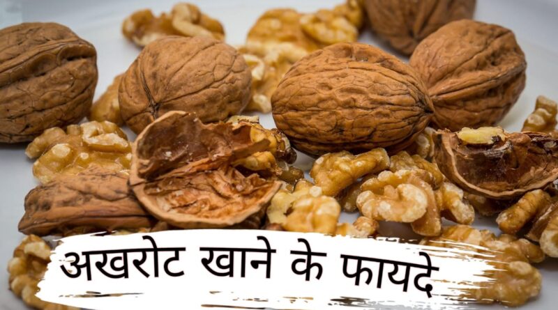 akhrot khane ke fayde, akhrot khane ke fayde aur tarika, akhrot khane ke fayde or nuksan, akhrot khane ke fayde for men, akhrot khane ke fayde urdu, akhrot khane ke fayde pregnancy mein, akhrot khane ke fayde bataiye, akhrot khane ke fayde bataen, akhrot khane ke fayde kya hai, akhrot khane ke fayde batao, akhrot khane ke fayde in pregnancy, akhrot khane ke fayde aur nuksan, akhrot khane ke fayde akhrot, akhrot khane ke fayde aur kaise khayen, akhrot khane ke fayde aur kaise khana chahie, akhrot khane ke fayde avn nuksan, akhrot khane ke fayde aur kaise khaye, akhrot khane ke fayde aur kaise khaya jata hai, akhrot khane ke fayde aur kab khana chahie, akhrot khane ke fayde aur time, anjeer aur akhrot khane ke fayde, anjeer akhrot khane ke fayde, anjeer badam akhrot khane ke fayde, akhrot akhrot khane ke fayde, ajwain aur akhrot khane ke fayde, badam akhrot kismis anjeer khane ke fayde, badam aur akhrot bhigo kar khane ke fayde, anjeer akhrot khajur khane ke fayde, akhrot khane ke fayde bengali, akhrot khane ke fayde bacho ke liye, akhrot khane ke fayde baba ramdev, akhrot khane ke fayde bacchon ke liye, akhrot khane ke fayde bangla, akhrot khane ke fayde by rajiv dixit, akhrot khane ke fayde balo ke liye, bheege hue akhrot khane ke fayde, badam or akhrot khane ke fayde, bhiga hua akhrot khane ke fayde, badam anjeer akhrot khane ke fayde, bacho ko akhrot khane ke fayde, baby ko akhrot khane ke fayde, badam kaju akhrot khane ke fayde, bhige hue akhrot khane ke fayde, badam pista akhrot khane ke fayde, bhigi akhrot khane ke fayde, akhrot khane ke fayde kab khana chahie, chana badam akhrot khane ke fayde, akhrot or chana khane ke fayde, chote bacho ko akhrot khane ke fayde, akhrot khane ke benefit, akhrot khane fayde, akhrot khany k faidy, akhrot fayde, akhrot khane ke fayde aur kis time khana chahie, cholesterol me akhrot ke fayde, benefits of akhrot in hindi, akhrot khane ke fayde dimag ke liye, akhrot khane ke fayde dr ibrahim, akhrot khane ke fayde dudh ke sath, akhrot khane ke fayde dr sharafat ali, akhrot khane ke fayde rajiv dixit, daily akhrot khane ke fayde, dj akhrot khane ke fayde, dudh me akhrot khane ke fayde, akhrot dry fruit khane ke fayde, dudh aur akhrot khane ke fayde, dry fruit akhrot khane ke fayde, dudh akhrot khane ke fayde, dudh ke sath akhrot khane ke fayde, delivery ke baad akhrot khane ke fayde, roj ek akhrot khane ke fayde, akhrot aur badam ek sath khane ke fayde, kaju badam akhrot ek sath khane ke fayde, khajoor aur akhrot ek sath khane ke fayde, akhrot khane ke labh, akhrot khane se fayda, badam aur akhrot ek sath khane ke fayde, akhrot khane ke fayde for baby, akhrot khane ke fayde for women, akhrot khane ke fayde for skin, akhrot khane ke fayde for brain, akhrot khane ke fayde for hair, akhrot khane ke fayde face ke liye, akhrot khane ke fayde for pregnancy, akhrot khane ke fayde fit tuber, fatty liver me akhrot khane ke fayde, akhrot khane ke fayde akhrot khane ke fayde, akhrot khane ke fayde gym, akhrot khane ke fayde gujarati, akhrot khane ke fayde weight gain, akhrot giri khane ke fayde, akhrot giri khane ke fayde aur nuksan, akhrot ki giri khane ke fayde, akhrot gala kar khane ke fayde, akhrot khane se ghutno ke fayde, akhrot aur gud khane ke fayde, garmi mein akhrot khane ke fayde, garmiyon mein akhrot khane ke fayde, garbhavastha mein akhrot khane ke fayde, garbhvati mahila ko akhrot khane ke fayde, akhrot ki giri khane ke kya fayde hain, akhrot khane ke fayde hair ke liye, akhrot khane ke fayde hain, akhrot khane ke kya fayde hain, akhrot khane ke kya fayde hain batao, akhrot badam khane ke kya fayde hain, akhrot khane ke kaun kaun se fayde hain, akhrot bhigo kar khane ke kya fayde hain, pregnancy mein akhrot khane ke kya fayde hain, high bp me akhrot khane ke fayde, akhrot ko bhigo kar khane ke fayde in hindi, bheege hue akhrot khane ke kya fayde hain, akhrot aur badam khane ke kya fayde hain, akhrot ka halwa khane ke fayde, khali pet akhrot khane ke kya fayde hain, akhrot khane ke fayde in bengali, akhrot khane ke fayde in urdu, akhrot khane ke fayde in marathi, akhrot khane ke fayde in kannada, akhrot health benefits, bheege akhrot khane ke fayde, akhrot khane ke fayde kya hote hain, akhrot khane ke fayde kaise khaye, akhrot khane ke fayde kay, akhrot khane ke fayde kaise khayen, akhrot khane ke fayde khali pet, akhrot khane ke fayde kya hota hai, akhrot khane ke fayde kya hai batao, akhrot khane ke kya fayde kya nuksan, khali pet akhrot khane ke fayde, kaju badam akhrot khane ke fayde, kaju pista badam akhrot khane ke fayde, kaju kishmish badam akhrot khane ke fayde, kaju aur akhrot khane ke fayde, khajur aur akhrot khane ke fayde, kacha akhrot khane ke fayde, kishmish aur akhrot khane ke fayde, kishmish akhrot khane ke fayde, kishmish badam akhrot khane ke fayde, akhrot khane ke fayde skin ke liye, lahan mulana akhrot khane ke fayde, akhrot khane ke fayde marathi, akhrot khane ke fayde mardana kamzori, akhrot khane ke fayde mufti tariq masood, makhana akhrot khane ke fayde, akhrot munakka khane ke fayde, akhrot mila kar khane ke fayde, pregnancy mai akhrot khane ke fayde, pregnancy madhe akhrot khane ke fayde, milk me akhrot khane ke fayde, morning me akhrot khane ke fayde, milk ke sath akhrot khane ke fayde, makhana aur akhrot khane ke fayde, pregnancy me akhrot khane ke fayde, sugar me akhrot khane ke fayde, akhrot khane ke fayde nuksan, pregnancy me akhrot khane ke fayde aur nuksan, nihar muh akhrot khane ke fayde, akhrot khane ke fayde odia, akhrot khane ke fayde or kaise khaye, anjeer or akhrot khane ke fayde, akhrot or kismis khane ke fayde, akhrot or khajur khane ke fayde, akhrot or makhana khane ke fayde, dudh or akhrot khane ke fayde, kaju or akhrot khane ke fayde, pregnancy me badam or akhrot khane ke fayde, akhrot khane ke fayde pregnancy, akhrot khane ke fayde price, akhrot khane ke fayde purushon ke liye, pista akhrot khane ke fayde, pista badam akhrot khane ke fayde, piles me akhrot khane ke fayde, pregnancy ke time akhrot khane ke fayde, pcos me akhrot khane ke fayde, akhrot kitne khane chahiye, walnut khane ke fayde, akhrot kitni matra mein khana chahie, akhrot khane ke fayde ramdev baba, roj akhrot khane ke fayde, rojana akhrot khane ke fayde, raat ko akhrot khane ke fayde, raat me akhrot khane ke fayde, raat mein akhrot khane ke fayde, roj 2 akhrot khane ke fayde, akhrot raat ko bhigo kar khane ke fayde, baba ramdev akhrot khane ke fayde, akhrot khane ke fayde sanga, akhrot khane ke fayde short video, akhrot khane ke fayde sanyasi ayurveda, akhrot khane ke fayde subah subah, akhrot khane ke fayde sperm, akhrot khane ke fayde subah khali pet, akhrot khane ka sahi fayde, subah khali pet akhrot khane ke fayde, sukhe akhrot khane ke fayde, subah khali pet badam aur akhrot khane ke fayde, subah badam aur akhrot khane ke fayde, sugar mein akhrot khane ke fayde, shahad aur akhrot khane ke fayde, subah khali pet bheege hue akhrot khane ke fayde, sanyasi ayurveda akhrot khane ke fayde, safed daag me akhrot khane ke fayde, akhrot ka tel khane ke fayde, akhrot akhrot ke fayde, akhrot k faiday, akhrot khane ke fayde v nuksan, akhrot khane ke fayde video, vijay akhrot khane ke fayde, akhrot mein kaun si vitamin hoti hai, bheege walnut khane ke fayde, kya akhrot khane se cholesterol badhta hai, akhrot khane ke fayde ya nuksan, 1 year baby ko akhrot khane ke fayde, akhrot pani me bhigo kar khane ke fayde, akhrot bhigo kar khane ke fayde, akhrot kb khaye, what is the benefit of akhrot, akhrot khana, 9 month pregnancy me akhrot khane ke fayde