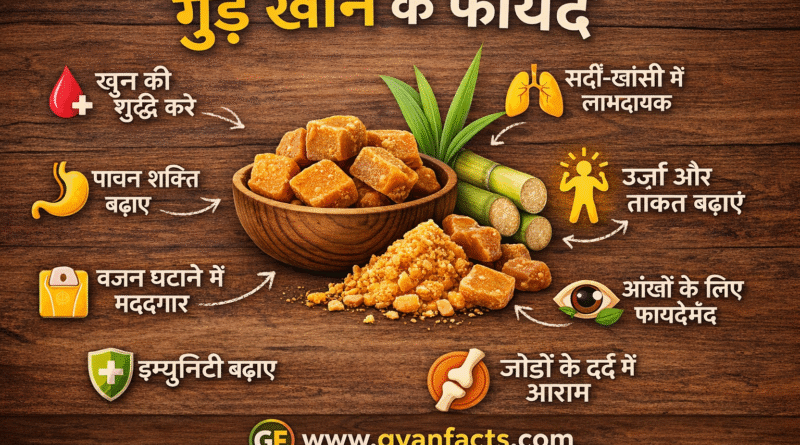 gud ke faydeRemove term: gud khane ke fayde gud khane ke faydeRemove term: gud vs sugar gud vs sugarRemove term: jaggery benefits in hindi jaggery benefits in hindiRemove term: क्या गुड़ वजन बढ़ाता है। क्या गुड़ वजन बढ़ाता है।Remove term: क्या रोज गु़ड़ खाना सही है क्या रोज गु़ड़ खाना सही हैRemove term: गुड़ और चीनी में कौन बेहतर है गुड़ और चीनी में कौन बेहतर हैRemove term: गुड़ खाने के फायदे गुड़ खाने के फायदे