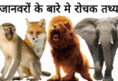 Remove term: #AmazingAnimals #AmazingAnimalsRemove term: #AnimalFacts #AnimalFactsRemove term: #AnimalFactsHindi #AnimalFactsHindiRemove term: #AnimalKnowledge #EducationalContent #AnimalKnowledge #EducationalContentRemove term: #AnimalWorld #AnimalWorldRemove term: #DidYouKnow #DidYouKnowRemove term: #HindiArticle #HindiArticleRemove term: #InterestingFacts #InterestingFactsRemove term: #NatureLovers #NatureLoversRemove term: #ViralFacts #ViralFactsRemove term: #ViralKnowledge #ViralKnowledgeRemove term: #WildlifeFacts #WildlifeFactsRemove term: #जानवरों_के_तथ्य #जानवरों_के_तथ्यRemove term: #ज्ञानवर्धक #ज्ञानवर्धकRemove term: Amazing Animal Facts Amazing Animal FactsRemove term: Animal Science Facts Animal Science FactsRemove term: Animal World Secrets Animal World SecretsRemove term: Educational Animal Article Educational Animal ArticleRemove term: facts about animals facts about animalsRemove term: Interesting Animal Facts Interesting Animal FactsRemove term: Knowledgeable Articles Knowledgeable ArticlesRemove term: Nature and Animals Nature and AnimalsRemove term: Unique Animal Facts Unique Animal FactsRemove term: Wildlife Facts Wildlife FactsRemove term: अनोखे जीव-जंतु अनोखे जीव-जंतुRemove term: जानवरों की अद्भुत दुनिया जानवरों की अद्भुत दुनियाRemove term: जानवरों के रोचक तथ्य जानवरों के रोचक तथ्यRemove term: पशु जगत के अनोखे रहस्य पशु जगत के अनोखे रहस्यRemove term: पशु विज्ञान पशु विज्ञानRemove term: प्रकृति और जानवर प्रकृति और जानवरRemove term: बच्चों के लिए ज्ञानवर्धक लेख बच्चों के लिए ज्ञानवर्धक लेखRemove term: रोचक पशु तथ्य हिन्दी में रोचक पशु तथ्य हिन्दी मेंRemove term: वन्यजीव जानकारी वन्यजीव जानकारीRemove term: हिन्दी ज्ञानवर्धक लेख हिन्दी ज्ञानवर्धक लेख