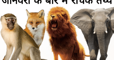 Remove term: #AmazingAnimals #AmazingAnimalsRemove term: #AnimalFacts #AnimalFactsRemove term: #AnimalFactsHindi #AnimalFactsHindiRemove term: #AnimalKnowledge #EducationalContent #AnimalKnowledge #EducationalContentRemove term: #AnimalWorld #AnimalWorldRemove term: #DidYouKnow #DidYouKnowRemove term: #HindiArticle #HindiArticleRemove term: #InterestingFacts #InterestingFactsRemove term: #NatureLovers #NatureLoversRemove term: #ViralFacts #ViralFactsRemove term: #ViralKnowledge #ViralKnowledgeRemove term: #WildlifeFacts #WildlifeFactsRemove term: #जानवरों_के_तथ्य #जानवरों_के_तथ्यRemove term: #ज्ञानवर्धक #ज्ञानवर्धकRemove term: Amazing Animal Facts Amazing Animal FactsRemove term: Animal Science Facts Animal Science FactsRemove term: Animal World Secrets Animal World SecretsRemove term: Educational Animal Article Educational Animal ArticleRemove term: facts about animals facts about animalsRemove term: Interesting Animal Facts Interesting Animal FactsRemove term: Knowledgeable Articles Knowledgeable ArticlesRemove term: Nature and Animals Nature and AnimalsRemove term: Unique Animal Facts Unique Animal FactsRemove term: Wildlife Facts Wildlife FactsRemove term: अनोखे जीव-जंतु अनोखे जीव-जंतुRemove term: जानवरों की अद्भुत दुनिया जानवरों की अद्भुत दुनियाRemove term: जानवरों के रोचक तथ्य जानवरों के रोचक तथ्यRemove term: पशु जगत के अनोखे रहस्य पशु जगत के अनोखे रहस्यRemove term: पशु विज्ञान पशु विज्ञानRemove term: प्रकृति और जानवर प्रकृति और जानवरRemove term: बच्चों के लिए ज्ञानवर्धक लेख बच्चों के लिए ज्ञानवर्धक लेखRemove term: रोचक पशु तथ्य हिन्दी में रोचक पशु तथ्य हिन्दी मेंRemove term: वन्यजीव जानकारी वन्यजीव जानकारीRemove term: हिन्दी ज्ञानवर्धक लेख हिन्दी ज्ञानवर्धक लेख