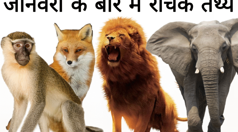 Remove term: #AmazingAnimals #AmazingAnimalsRemove term: #AnimalFacts #AnimalFactsRemove term: #AnimalFactsHindi #AnimalFactsHindiRemove term: #AnimalKnowledge #EducationalContent #AnimalKnowledge #EducationalContentRemove term: #AnimalWorld #AnimalWorldRemove term: #DidYouKnow #DidYouKnowRemove term: #HindiArticle #HindiArticleRemove term: #InterestingFacts #InterestingFactsRemove term: #NatureLovers #NatureLoversRemove term: #ViralFacts #ViralFactsRemove term: #ViralKnowledge #ViralKnowledgeRemove term: #WildlifeFacts #WildlifeFactsRemove term: #जानवरों_के_तथ्य #जानवरों_के_तथ्यRemove term: #ज्ञानवर्धक #ज्ञानवर्धकRemove term: Amazing Animal Facts Amazing Animal FactsRemove term: Animal Science Facts Animal Science FactsRemove term: Animal World Secrets Animal World SecretsRemove term: Educational Animal Article Educational Animal ArticleRemove term: facts about animals facts about animalsRemove term: Interesting Animal Facts Interesting Animal FactsRemove term: Knowledgeable Articles Knowledgeable ArticlesRemove term: Nature and Animals Nature and AnimalsRemove term: Unique Animal Facts Unique Animal FactsRemove term: Wildlife Facts Wildlife FactsRemove term: अनोखे जीव-जंतु अनोखे जीव-जंतुRemove term: जानवरों की अद्भुत दुनिया जानवरों की अद्भुत दुनियाRemove term: जानवरों के रोचक तथ्य जानवरों के रोचक तथ्यRemove term: पशु जगत के अनोखे रहस्य पशु जगत के अनोखे रहस्यRemove term: पशु विज्ञान पशु विज्ञानRemove term: प्रकृति और जानवर प्रकृति और जानवरRemove term: बच्चों के लिए ज्ञानवर्धक लेख बच्चों के लिए ज्ञानवर्धक लेखRemove term: रोचक पशु तथ्य हिन्दी में रोचक पशु तथ्य हिन्दी मेंRemove term: वन्यजीव जानकारी वन्यजीव जानकारीRemove term: हिन्दी ज्ञानवर्धक लेख हिन्दी ज्ञानवर्धक लेख