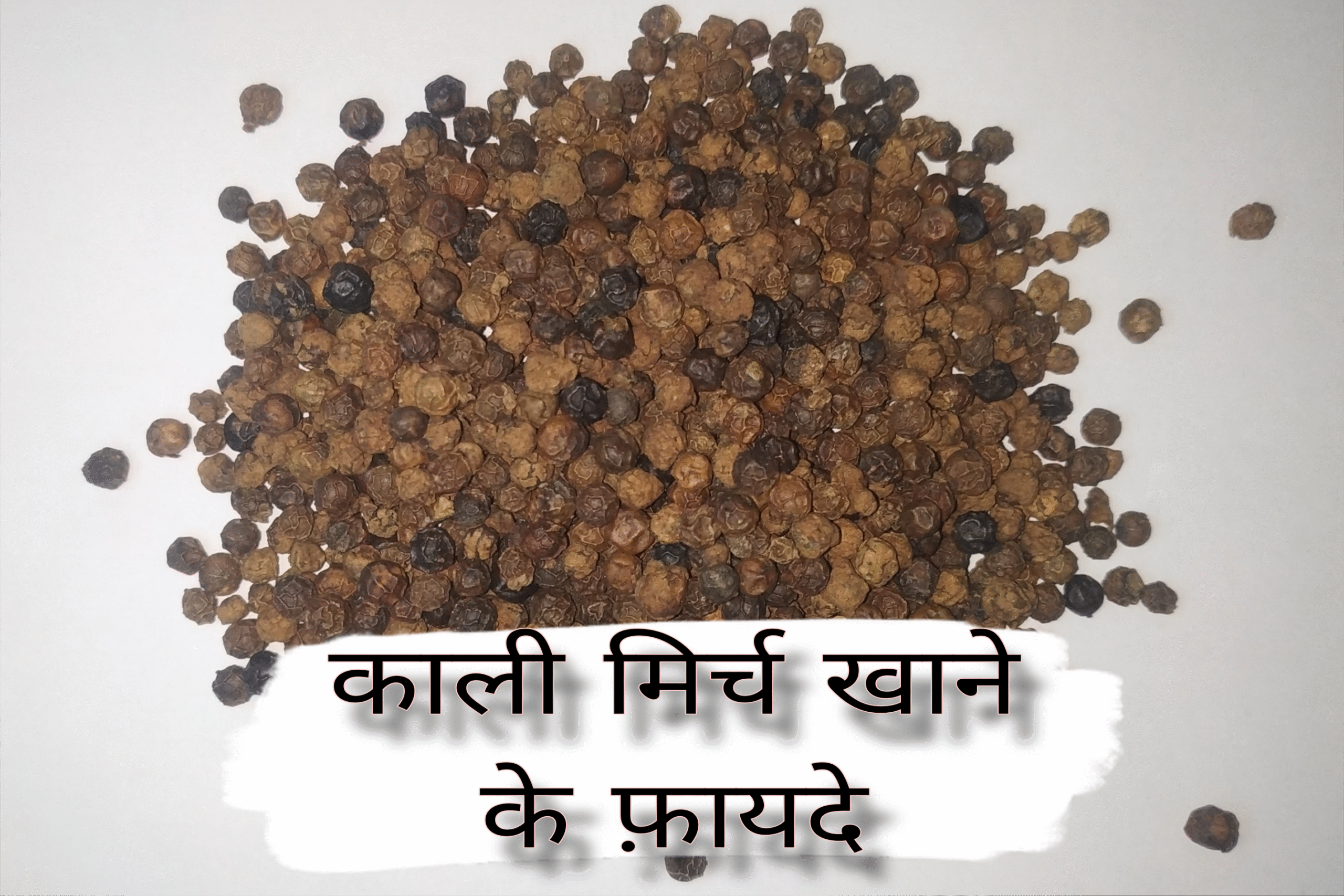 kali mirch khane ke fayde, kali mirch khane ke fayde aur nuksan, kali mirch khane ke fayde bataiye, kali mirch khane ke fayde bataen, kali mirch khane ke fayde batao, kali mirch khane ke fayde kya hai, kali mirch khane ke fayde khali pet, kali mirch khane ke fayde ya nuksan, gud aur kali mirch khane ke fayde, subah khali pet kali mirch khane ke fayde, kali mirch khane ke fayde kali mirch, dahi kala namak aur kali mirch khane ke fayde, khali pet kali mirch khane ke fayde aur nuksan, adrak kali mirch khane ke fayde, kali mirch aur shahad khane ke fayde, kali mirch aur ghee khane ke fayde, dahi aur kali mirch khane ke fayde, badam aur kali mirch khane ke fayde, long aur kali mirch khane ke fayde, shahad aur kali mirch khane ke fayde, adrak aur kali mirch khane ke fayde, ajwain aur kali mirch khane ke fayde, amla honey kali mirch khane ke fayde, ghi aur kali mirch khane ke fayde, kali mirch badam khane ke fayde, belpatra kali mirch khane ke fayde, kali mirch bhigo kar khane ke fayde, bakri ko kali mirch khane ke fayde, bihar mein kali mirch khane ke fayde, badam ke sath kali mirch khane ke fayde, badam kali mirch khane ke fayde, basi muh kali mirch khane ke fayde, kali mirch badam aur mishri khane ke fayde, khana khane ke baad kali mirch khane ke fayde, kali mirch chaba kar khane ke fayde, kali mirch khane se fayda, kali mirch khane se, kali mirch khane ke kya fayde, daily kali mirch khane ke fayde, gol mirch khane ke fayde, dahi kali mirch khane ke fayde, dudh me kali mirch khane ke fayde, dahi m kali mirch khane ke fayde, dalchini aur kali mirch khane ke fayde, kali mirch ke dane khane ke fayde, dudh mein kali mirch khane ke fayde, dahi ke sath kali mirch khane ke fayde, dudh ke sath kali mirch khane ke fayde, desi ghee aur kali mirch khane ke fayde, dahi mein kali mirch khane ke fayde, desi ghi aur kali mirch khane ke fayde, elaichi laung kali mirch khane ke fayde, kali mirch aur elaichi khane ke fayde, roj ek kali mirch khane ke fayde, long elaichi aur kali mirch khane ke fayde, elaichi kali mirch aur laung khane ke fayde, adrak aur kali mirch ek sath khane ke fayde, elaichi aur kali mirch khane ke fayde, sabut kali mirch khane ke fayde, ghee kali mirch khane ke fayde, kali mirch gud khane ke fayde, good kali mirch khane ke fayde, kali mirch ghee khane ke fayde, ghee me kali mirch khane ke fayde, ghee ke sath kali mirch khane ke fayde, ghi ke sath kali mirch khane ke fayde, gud kali mirch khane ke fayde, garam pani ke sath kali mirch khane ke fayde, kali mirch khane ke kya fayde hain, haldi kali mirch khane ke fayde, haldi aur kali mirch khane ke fayde, khali pet kali mirch khane ke kya fayde hain, kali mirch aur shahad khane ke kya fayde hain, kali mirch aur ajwain khane ke kya fayde hain, long aur kali mirch khane ke kya fayde hain, subah khali pet kali mirch khane ke kya fayde hain, kali mirch jeera khane ke fayde, jeera aur kali mirch khane ke fayde, kali mirch khane ke kya fayde kya nuksan, kali mirch kishmish khane ke fayde, khali pet kali mirch khane ke kya fayde, kali mirch aur shahad khane ke kya fayde, khali pet kali mirch khane ke fayde, khasi me kali mirch khane ke fayde, kishmish aur kali mirch khane ke fayde, kele ke sath kali mirch khane ke fayde, kali kali mirch khane ke fayde, dahi me kali mirch or kala namak khane ke fayde, long kali mirch khane ke fayde, laung kali mirch khane ke fayde, lehsan aur kali mirch khane ke fayde, long elaichi kali mirch khane ke fayde, kali mirch munakka khane ke fayde, kali mirch mishri khane ke fayde, raat mein kali mirch khane ke fayde, morning me kali mirch khane ke fayde, mishri aur kali mirch khane ke fayde, munakka aur kali mirch khane ke fayde, munakka ke sath kali mirch khane ke fayde, dahi mein kali mirch mila kar khane ke fayde, shahad me kali mirch mila kar khane ke fayde, kali mirch khane ke fayde nuksan, nimbu aur kali mirch khane ke fayde, neem aur kali mirch khane ke fayde, kali mirch kala namak khane ke fayde, neem ki patti aur kali mirch khane ke fayde, dahi kali mirch kala namak khane ke fayde, dahi mein kala namak kali mirch khane ke fayde, dahi kali mirch or kala namak khane ke fayde, kali mirch or gud khane ke fayde, ghee or kali mirch khane ke fayde, dudh or kali mirch khane ke fayde, kali mirch powder khane ke fayde, kali mirch pees kar khane ke fayde, kali mirch ka powder khane ke fayde, pregnancy mein kali mirch khane ke fayde, kali mirch pani ke sath khane ke fayde, papita aur kali mirch khane ke fayde, pan ke patte ke sath kali mirch khane ke fayde, roj kali mirch khane ke fayde, raat ko kali mirch khane ke fayde, kali mirch ke benefits, subah kali mirch khane ke fayde, safed kali mirch khane ke fayde, kali mirch shahad khane ke fayde, sauth kali mirch khane ke fayde, saunf aur kali mirch khane ke fayde, shahad me kali mirch khane ke fayde, kali mirch ki sabji khane ke fayde, sote samay kali mirch khane ke fayde, shahad ke sath kali mirch khane ke fayde, sabzi mein kali mirch khane ke fayde, tamatar kali mirch khane ke fayde, tulsi aur kali mirch khane ke fayde, kali mirch khane ke fayde v nuksan, kali mirch khane ke fayde video, gol mirch khane se kya hota hai, gol mirch khane se kya fayda hota hai