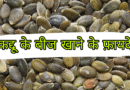 कद्दू के बीज खाने के फायदे। kaddu ke beej khane ke fayde, pregnancy me kaddu ke beej khane ke fayde, kaddu ke beej bhigo kar khane ke fayde, kaddu ke bij khana, kaddu ke bij ka fayda, kaddu ke bij ka sevan, kaddu ke bij ka, kaddu ke bij ka istemal, how to eat kaddu ke beej, kaddu ke bij ka tel, benefits of kaddu ke beej, pumpkin seed ke benefits, kaddu ke beej ke fayde, kaddu bij khane ke fayde, kaddu ke bij ka rate, kaddu ke bij ke bare mein bataen, kaddu ke bij khane se