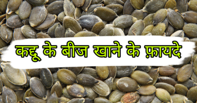 kaddu ke beej khane ke fayde, pregnancy me kaddu ke beej khane ke fayde, kaddu ke beej bhigo kar khane ke fayde, kaddu ke bij khana, kaddu ke bij ka fayda, kaddu ke bij ka sevan, kaddu ke bij ka, kaddu ke bij ka istemal, how to eat kaddu ke beej, kaddu ke bij ka tel, benefits of kaddu ke beej, pumpkin seed ke benefits, kaddu ke beej ke fayde, kaddu bij khane ke fayde, kaddu ke bij ka rate, kaddu ke bij ke bare mein bataen, kaddu ke bij khane se