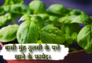 बासी मुंह तुलसी के पत्ते खाने के फायेद। tulsi ke patte khane ke fayde, tulsi ke patte khane ke fayde aur nuksan, tulsi ke patte khane ke fayde bataen, tulsi ke patte khane ke fayde premanand ji maharaj, tulsi ke patte khane ke fayde baba ramdev, tulsi ke patte khane ke fayde nuksan, tulsi ke patte khane ke fayde rajiv dixit, tulsi ke patte khane ke fayde kya hai, tulsi ke patte khane ke fayde video, khali pet tulsi ke patte khane ke fayde, roj subah tulsi ke patte khane ke fayde, tulsi aur neem ke patte khane ke fayde, amrud aur tulsi ke patte khane ke fayde, tulsi ke patte khane se kya labh, rojana tulsi ke patte khane ke fayde, subah tulsi ke patte khane ke fayde, neem aur tulsi ke patte khane ke fayde, basi muh tulsi ke patte khane ke fayde, basi mein tulsi ke patte khane ke fayde, daily tulsi ke patte khane ke fayde, tulsi ke patte khane ke kya fayde hain, tulsi ke patte khane se, subah subah tulsi ke patte khane ke fayde, tulsi ke patte khane, roj tulsi ke patte khane se kya hota hai, tulsi ke patte khana, tulsi ji ke patte khane ke fayde, tulsi ke patte chabane ke fayde, tulsi ke patte ke khane ke fayde, neem ke patte aur tulsi ke patte khane ke fayde, amrud ke patte aur tulsi ke patte khane ke fayde, tulsi ke patte khane se kya fayda, pregnancy me tulsi ke patte khane ke fayde, premanand maharaj tulsi ke patte khane ke fayde, tulsi neem ke patte khane ke fayde, tulsi ke patte khane se kya fayde, roj tulsi ke patte khane ke fayde, subah khali pet tulsi ke patte khane ke fayde, tulsi ke patte kitne khane chahie