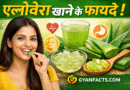 #एलोवेरा #AloeVera #AloeVeraBenefits #AloeVeraJuice #HealthTips #Ayurveda #NaturalRemedies #ImmunityBoost #WeightLossTips #SkinCare #HairCare #Detox #HealthyLifestyleRemove term: aloe vera benefits in hindi aloe vera benefits in hindiRemove term: aloe vera daily use aloe vera daily useRemove term: aloe vera detox aloe vera detoxRemove term: aloe vera for digestion aloe vera for digestionRemove term: aloe vera for hair aloe vera for hairRemove term: aloe vera for skin aloe vera for skinRemove term: aloe vera healthy tips aloe vera healthy tipsRemove term: aloe vera immunity boost aloe vera immunity boostRemove term: aloe vera juice benefits aloe vera juice benefitsRemove term: Aloe Vera ke fayde Aloe Vera ke faydeRemove term: aloe vera weight loss aloe vera weight lossRemove term: ayurvedic health tips hindi ayurvedic health tips hindiRemove term: एलोवेरा के फायदे एलोवेरा के फायदेRemove term: एलोवेरा जूस के फायदे एलोवेरा जूस के फायदे