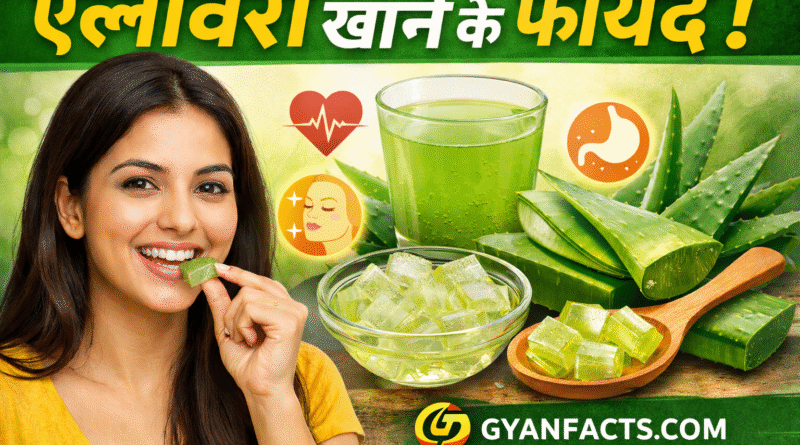 #एलोवेरा #AloeVera #AloeVeraBenefits #AloeVeraJuice #HealthTips #Ayurveda #NaturalRemedies #ImmunityBoost #WeightLossTips #SkinCare #HairCare #Detox #HealthyLifestyleRemove term: aloe vera benefits in hindi aloe vera benefits in hindiRemove term: aloe vera daily use aloe vera daily useRemove term: aloe vera detox aloe vera detoxRemove term: aloe vera for digestion aloe vera for digestionRemove term: aloe vera for hair aloe vera for hairRemove term: aloe vera for skin aloe vera for skinRemove term: aloe vera healthy tips aloe vera healthy tipsRemove term: aloe vera immunity boost aloe vera immunity boostRemove term: aloe vera juice benefits aloe vera juice benefitsRemove term: Aloe Vera ke fayde Aloe Vera ke faydeRemove term: aloe vera weight loss aloe vera weight lossRemove term: ayurvedic health tips hindi ayurvedic health tips hindiRemove term: एलोवेरा के फायदे एलोवेरा के फायदेRemove term: एलोवेरा जूस के फायदे एलोवेरा जूस के फायदे