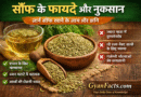 सौंफ खाने के फायदे और नुकसानRemove term: सौंफ के फायदे सौंफ के फायदेRemove term: सौंफ के नुकसान सौंफ के नुकसानRemove term: सौंफ खाने के लाभ सौंफ खाने के लाभRemove term: fennel seeds benefits in hindi fennel seeds benefits in hindiRemove term: saunf benefits saunf benefitsRemove term: saunf khane ke fayde saunf khane ke faydeRemove term: सौंफ सौंफRemove term: घरेलू नुस्खे घरेलू नुस्खेRemove term: आयुर्वेद आयुर्वेदRemove term: पाचन पाचनRemove term: स्वास्थ्य टिप्स स्वास्थ्य टिप्सRemove term: हेल्थ केयर हेल्थ केयरRemove term: देसी इलाज देसी इलाजRemove term: #सौंफ_के_फायदे #सौंफ_के_फायदेRemove term: #HealthTips #HealthTipsRemove term: #Ayurvedic #AyurvedicRemove term: #DesiNuskhe #DesiNuskheRemove term: #HealthyLife #HealthyLifeRemove term: #GyanFacts #GyanFacts