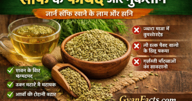 सौंफ खाने के फायदे और नुकसानRemove term: सौंफ के फायदे सौंफ के फायदेRemove term: सौंफ के नुकसान सौंफ के नुकसानRemove term: सौंफ खाने के लाभ सौंफ खाने के लाभRemove term: fennel seeds benefits in hindi fennel seeds benefits in hindiRemove term: saunf benefits saunf benefitsRemove term: saunf khane ke fayde saunf khane ke faydeRemove term: सौंफ सौंफRemove term: घरेलू नुस्खे घरेलू नुस्खेRemove term: आयुर्वेद आयुर्वेदRemove term: पाचन पाचनRemove term: स्वास्थ्य टिप्स स्वास्थ्य टिप्सRemove term: हेल्थ केयर हेल्थ केयरRemove term: देसी इलाज देसी इलाजRemove term: #सौंफ_के_फायदे #सौंफ_के_फायदेRemove term: #HealthTips #HealthTipsRemove term: #Ayurvedic #AyurvedicRemove term: #DesiNuskhe #DesiNuskheRemove term: #HealthyLife #HealthyLifeRemove term: #GyanFacts #GyanFacts