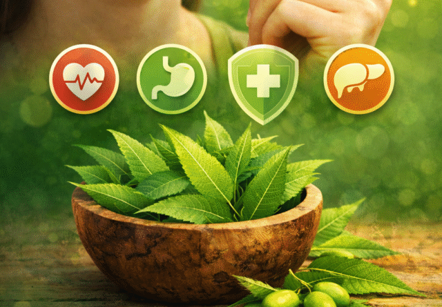 Remove term: #AyurvedaTips #AyurvedaTipsRemove term: #DiabetesControl #DiabetesControlRemove term: #HealthTipsHindi #HealthTipsHindiRemove term: #HealthyLifestyle #HealthyLifestyleRemove term: #ImmunityBoost #ImmunityBoostRemove term: #NaturalRemedies #NaturalRemediesRemove term: #NeemBenefits #NeemBenefitsRemove term: #NeemLeaves #NeemLeavesRemove term: #SkinCareTips #SkinCareTipsRemove term: #नीमकेफायदे #नीमकेफायदेRemove term: ayurvedic health tips ayurvedic health tipsRemove term: blood purifier neem blood purifier neemRemove term: diabetes control tips diabetes control tipsRemove term: healthy lifestyle hindi healthy lifestyle hindiRemove term: home remedies india home remedies indiaRemove term: immunity boost tips immunity boost tipsRemove term: natural remedies hindi natural remedies hindiRemove term: neem ayurvedic benefits neem ayurvedic benefitsRemove term: neem ayurvedic medicine neem ayurvedic medicineRemove term: neem benefits in hindi neem benefits in hindiRemove term: neem for diabetes neem for diabetesRemove term: neem for digestion neem for digestionRemove term: neem for immunity neem for immunityRemove term: neem for skin neem for skinRemove term: neem khane ke fayde neem khane ke faydeRemove term: neem leaf uses neem leaf usesRemove term: neem leaves benefits neem leaves benefitsRemove term: neem leaves benefits in hindi neem leaves benefits in hindiRemove term: skin care ayurveda skin care ayurvedaRemove term: subha neem khane ke fayde subha neem khane ke faydeRemove term: नीम के पत्ते चबाने के फायदे नीम के पत्ते चबाने के फायदे