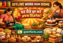 Offline Business, Work From Home, Home Business, Small Business India,