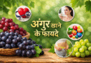 अंगूर खाने के फायदे: सेहत, त्वचा और दिल के लिए प्राकृतिक वरदान अंगूर खाने के फायदे, अंगूर के लाभ, अंगूर के पोषक तत्व, काले अंगूर के फायदे, हरे अंगूर के फायदे, अंगूर और सेहत, अंगूर से इम्यूनिटी, अंगूर और दिल की सेहत, अंगूर और त्वचा, वजन घटाने में अंगूर
