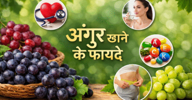 अंगूर खाने के फायदे, अंगूर के लाभ, अंगूर के पोषक तत्व, काले अंगूर के फायदे, हरे अंगूर के फायदे, अंगूर और सेहत, अंगूर से इम्यूनिटी, अंगूर और दिल की सेहत, अंगूर और त्वचा, वजन घटाने में अंगूर