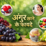 अंगूर खाने के फायदे, अंगूर के लाभ, अंगूर के पोषक तत्व, काले अंगूर के फायदे, हरे अंगूर के फायदे, अंगूर और सेहत, अंगूर से इम्यूनिटी, अंगूर और दिल की सेहत, अंगूर और त्वचा, वजन घटाने में अंगूर