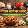 Badam khane ke fayde kya hain? Janiye rozana badam khane se dimaag tez, dil sehatmand, twacha glowing aur sharir majboot kaise banta hai. Puri jaankari yahan padhein.